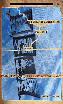 Book cover featuring cut up book pages hanging on a clothesline