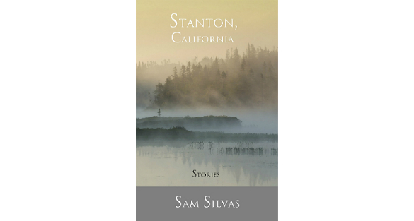Book cover featuring a foggy marsh